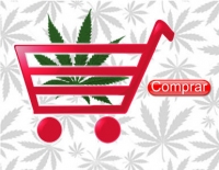 Desmantelan el mercado m�s sofisticado de narc�ticos en internet